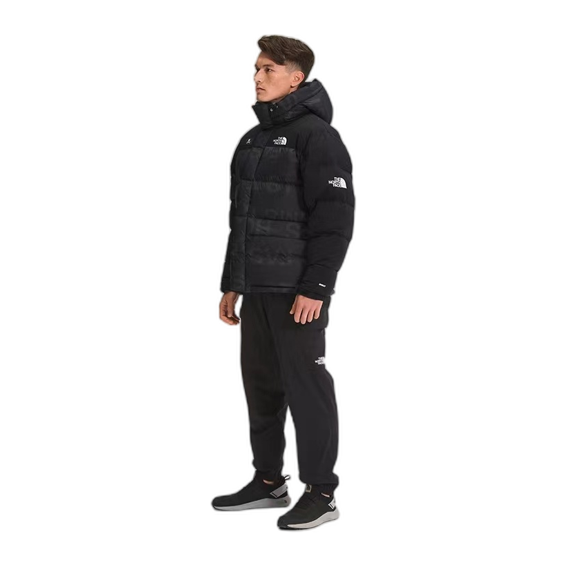 The North Face Urban Exploration UE Special Series Down Parka - 5J27